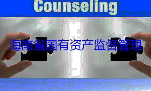 海南省国有资产监督管委副书记王有福接受审查调查理委员会党